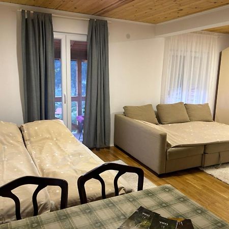 Hotel Ljubav Stara Zaovine à Lazici Extérieur photo