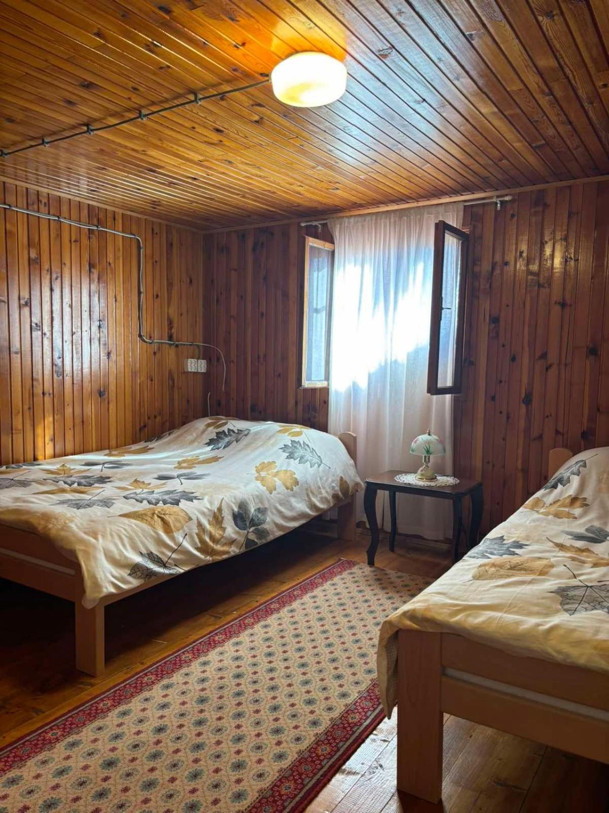 Hotel Ljubav Stara Zaovine à Lazici Extérieur photo