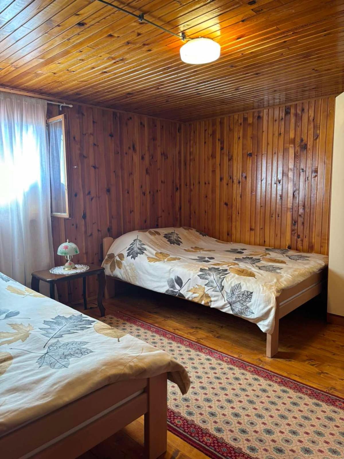 Hotel Ljubav Stara Zaovine à Lazici Extérieur photo